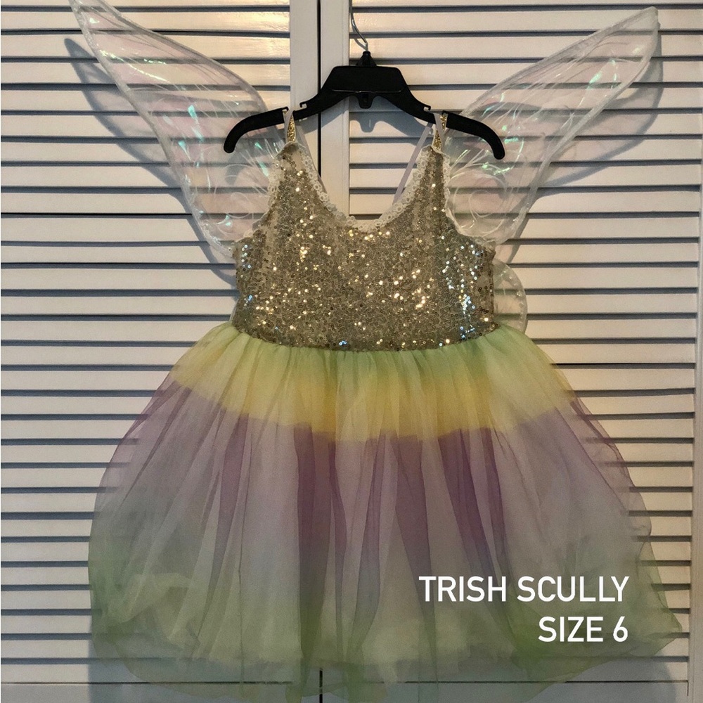 Fairy Halloween Costume